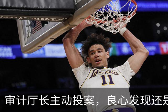 审计厅长主动投案，良心发现还是留后招？